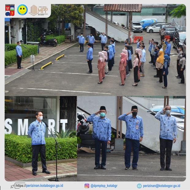 Thumbnail [100%x225]